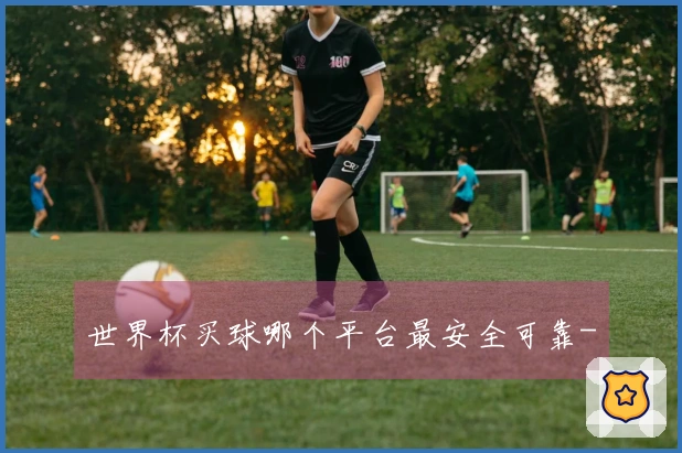 世界杯买球哪个平台最安全可靠-