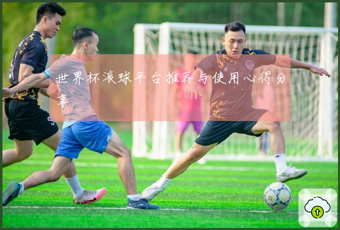 世界杯滚球平台推荐与使用心得分享