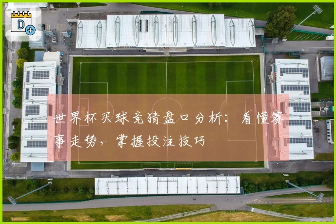 世界杯买球竞猜盘口分析：看懂赛事走势，掌握投注技巧