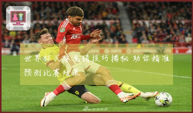 世界杯买球竞猜技巧揭秘 助你精准预测比赛结果
