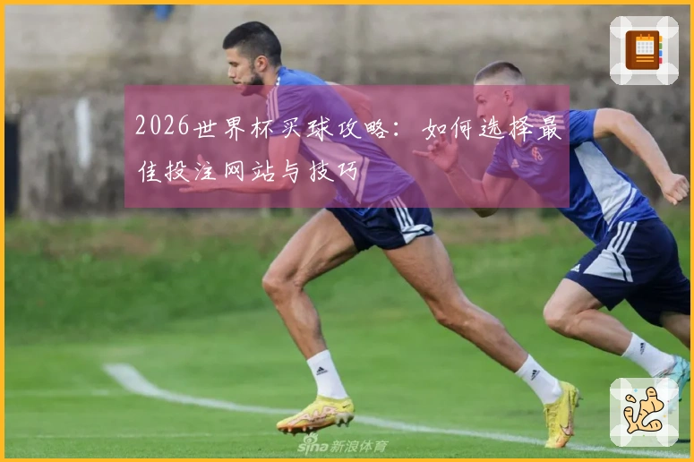 2026世界杯买球攻略：如何选择最佳投注网站与技巧