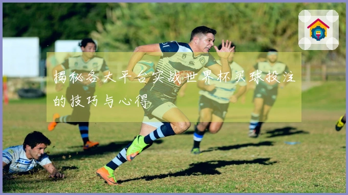 揭秘各大平台实战世界杯买球投注的技巧与心得