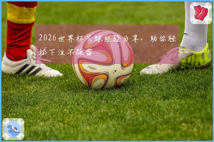 2026世界杯买球经验分享，助你轻松下注不踩雷