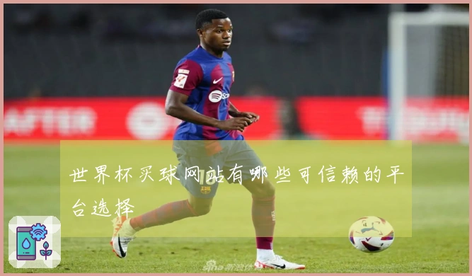 世界杯买球网站有哪些可信赖的平台选择