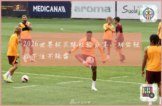 2026世界杯买球经验分享，助你轻松下注不踩雷