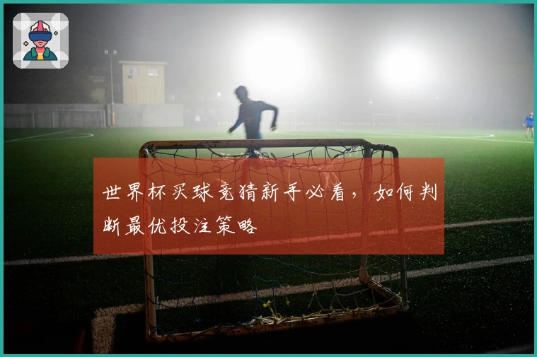 世界杯买球竞猜新手必看，如何判断最优投注策略