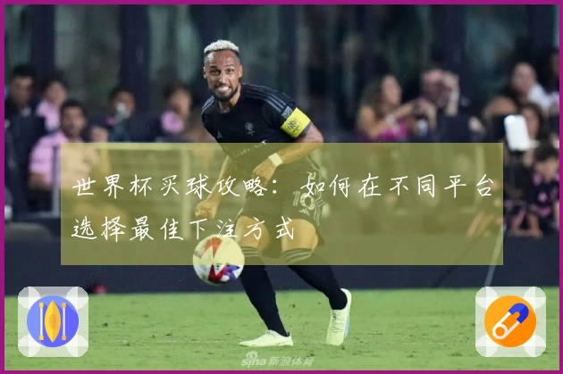 世界杯买球攻略：如何在不同平台选择最佳下注方式