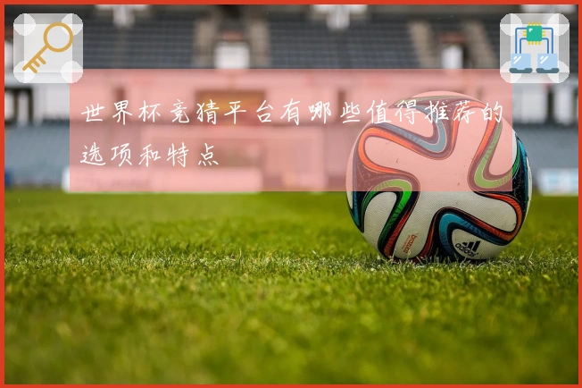 世界杯竞猜平台有哪些值得推荐的选项和特点