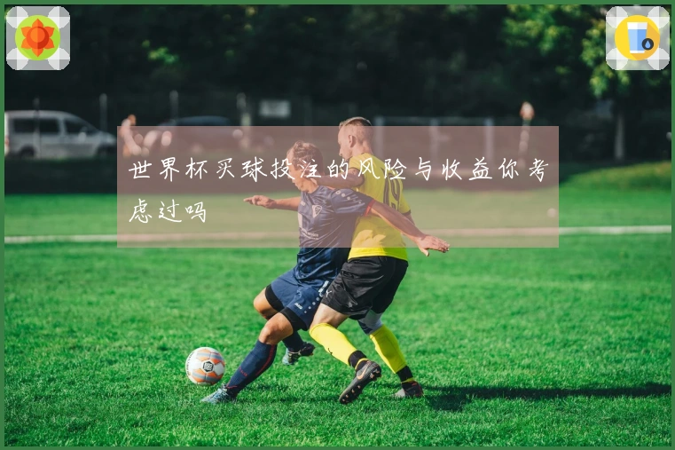 世界杯买球投注的风险与收益你考虑过吗