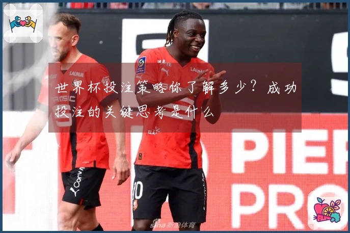 世界杯投注策略你了解多少？成功投注的关键思考是什么