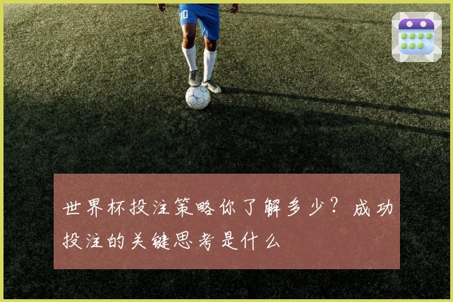 世界杯投注策略你了解多少？成功投注的关键思考是什么