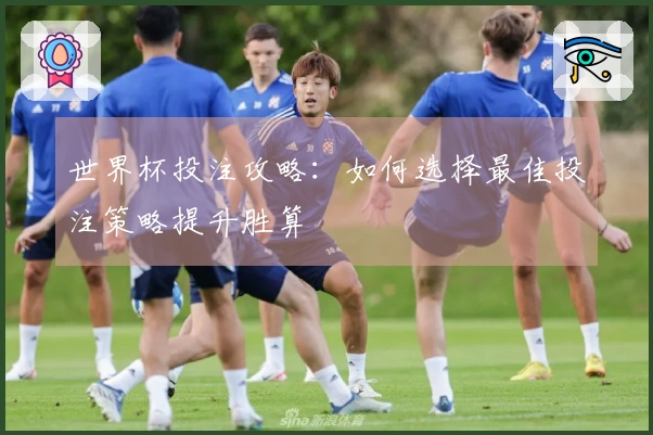 世界杯投注攻略：如何选择最佳投注策略提升胜算