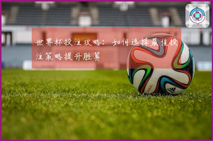 世界杯投注攻略：如何选择最佳投注策略提升胜算