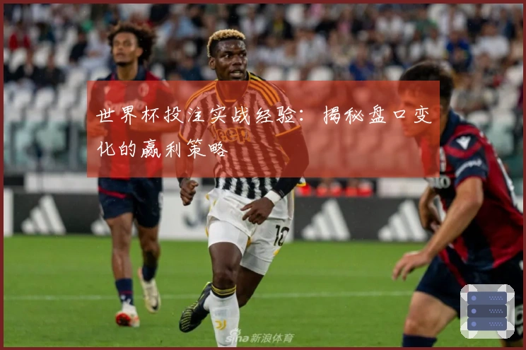 世界杯投注实战经验：揭秘盘口变化的赢利策略