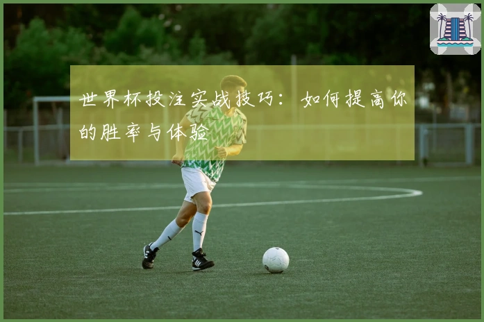 世界杯投注实战技巧：如何提高你的胜率与体验
