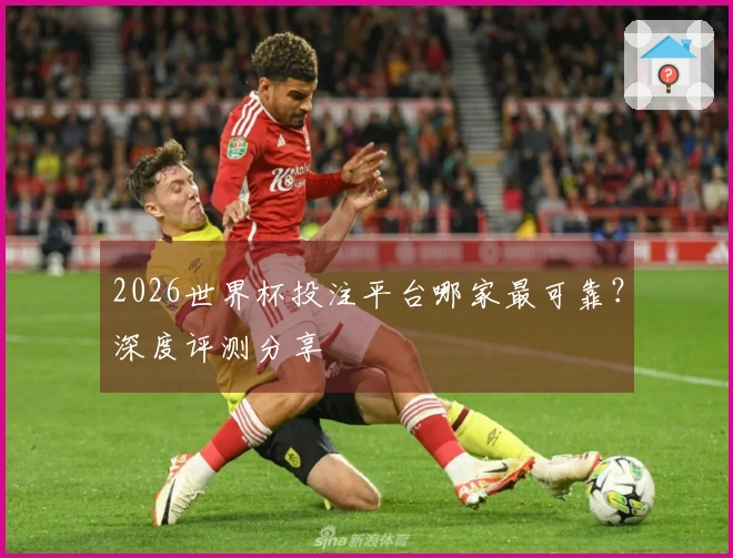2026世界杯投注平台哪家最可靠？深度评测分享
