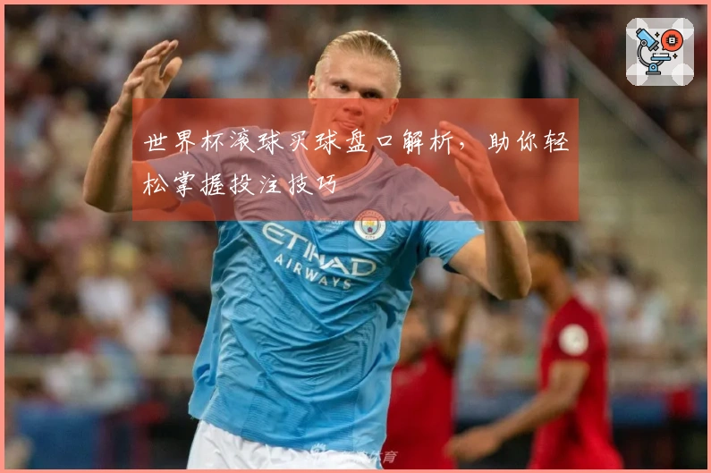 世界杯滚球买球盘口解析，助你轻松掌握投注技巧