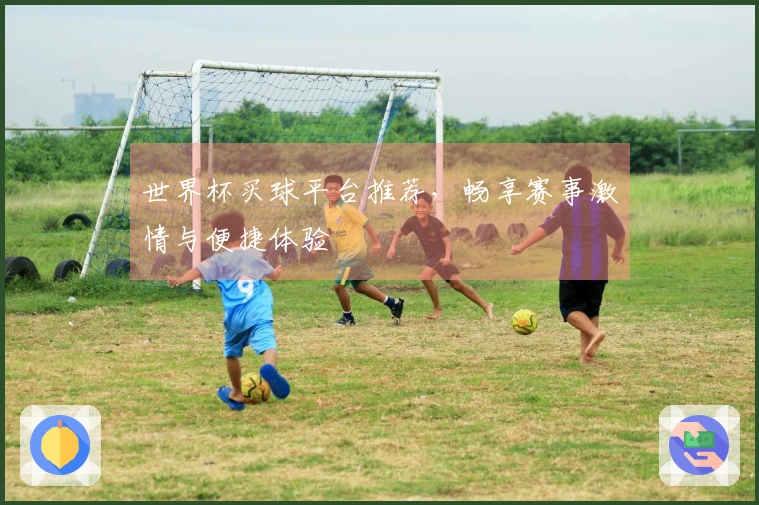 世界杯买球平台推荐，畅享赛事激情与便捷体验